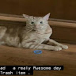 Meet your Posher, Oka